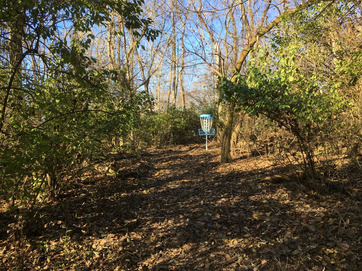 Hole #8 from the corner.