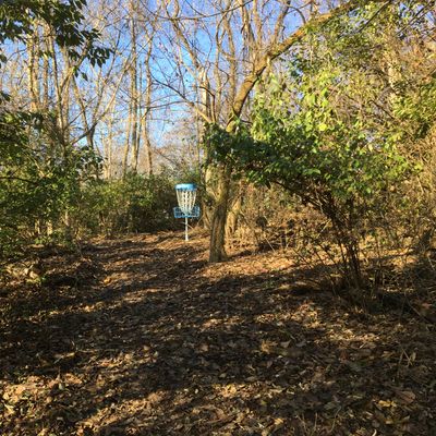 Hole #8 from the corner.