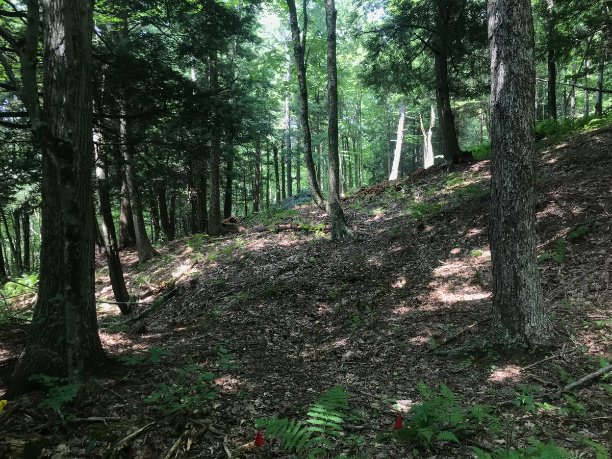 Hole 18’s tee pad