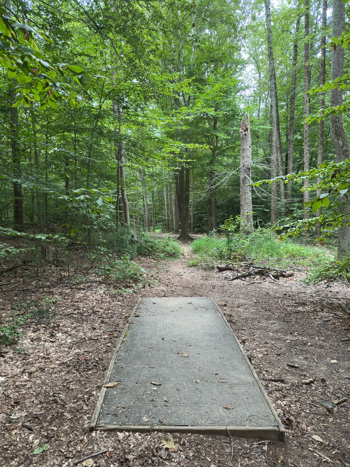Hole 14 white tee