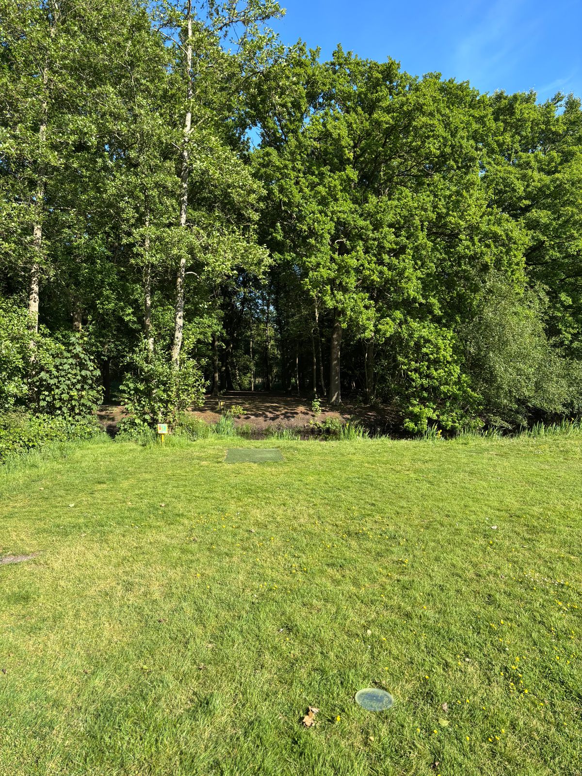 Hole 7 (including red tee of hole 6)