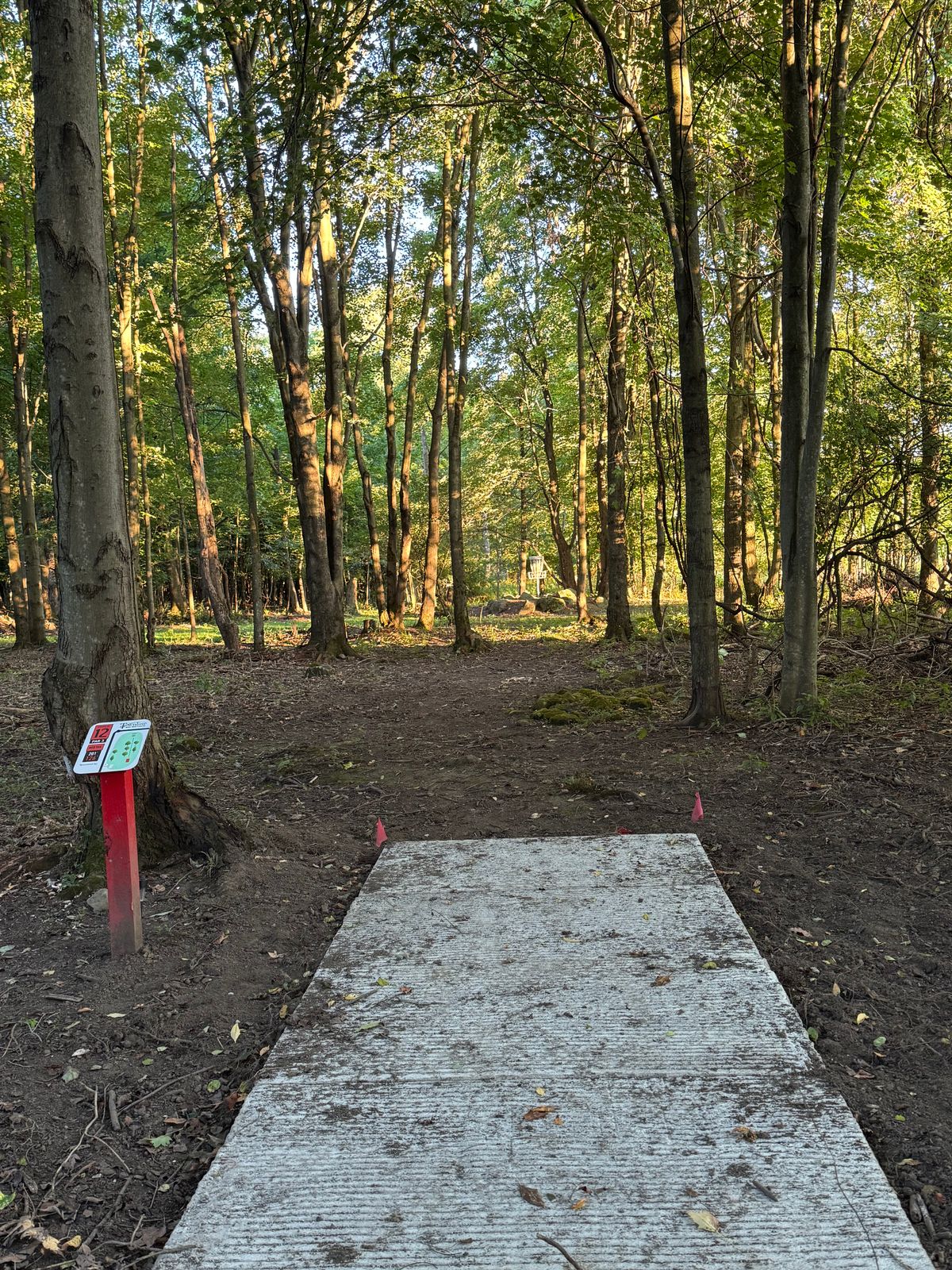 Hole 12