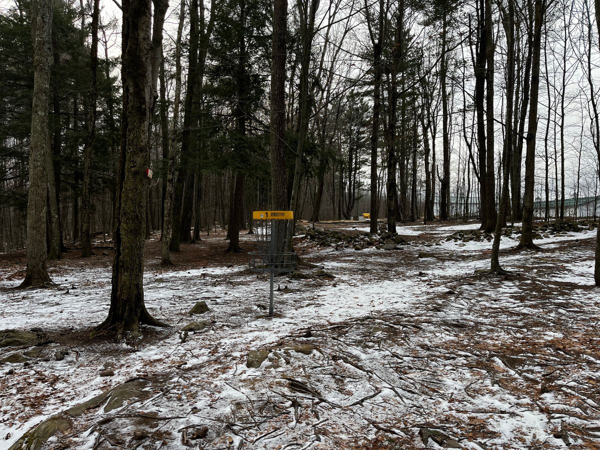 Hole 1 basket looking back towards teepad