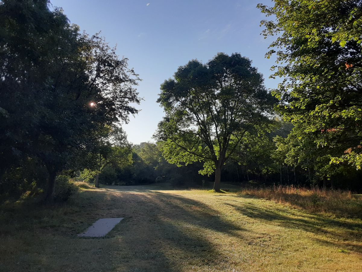 Morning on fairway 2.