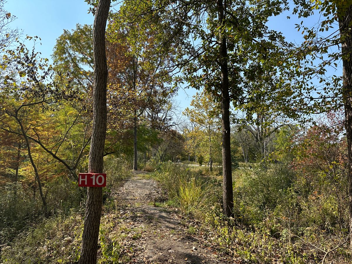Hole 10 Short Tee
