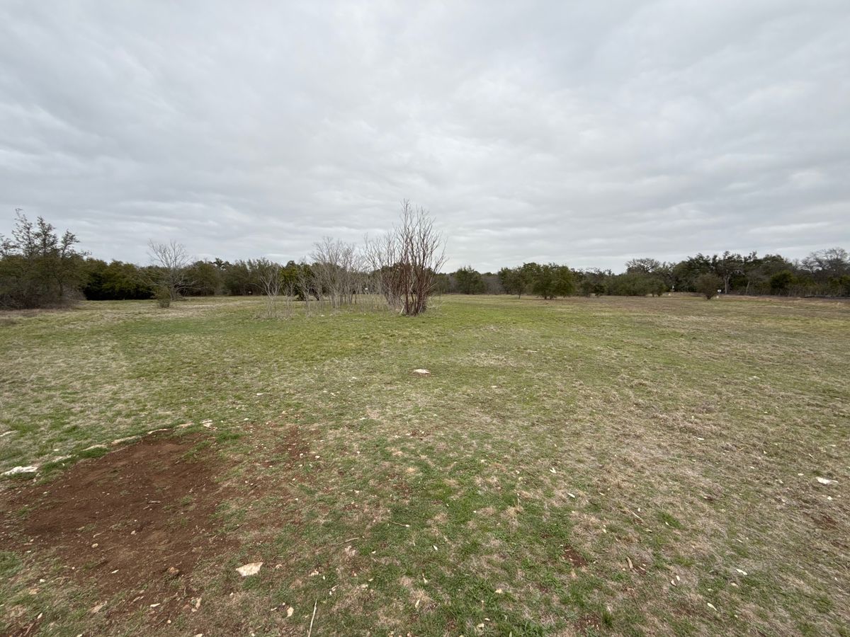 Back corner of the course, showing some tees and easy to travel terrain