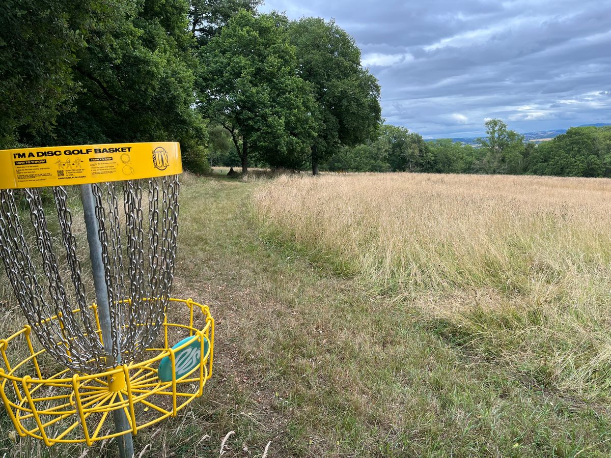 Basket 5 looking back to tees