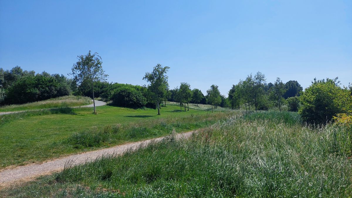 Hole 1 wit