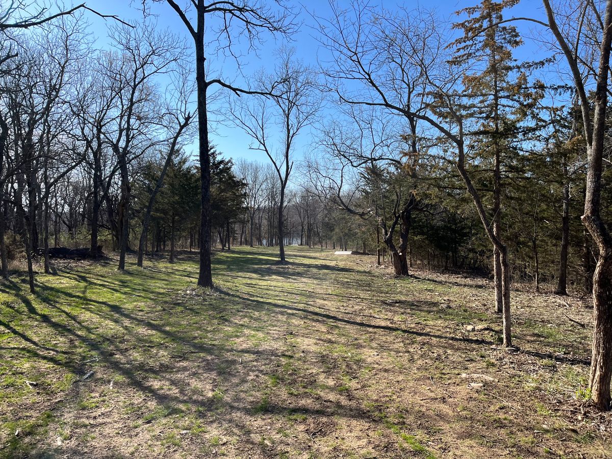 Hole 16 fairway back to tee