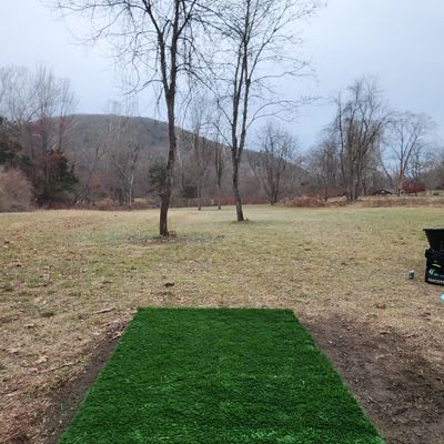 Hole 2,  276'