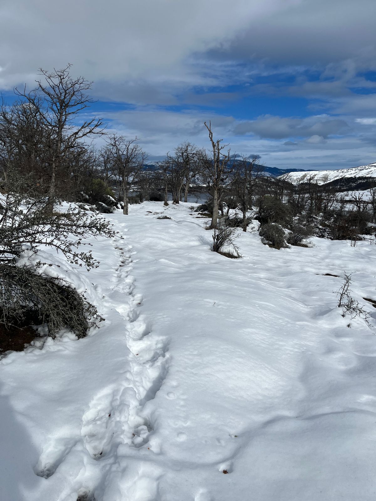 Hole 9 ❄️❄️