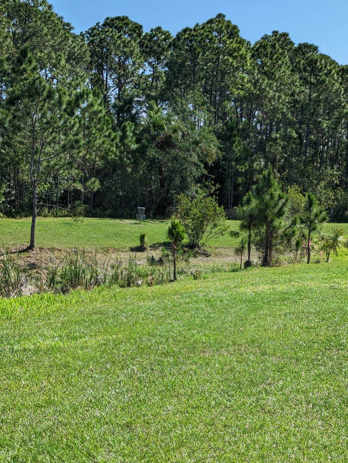 Hole 12 Basket