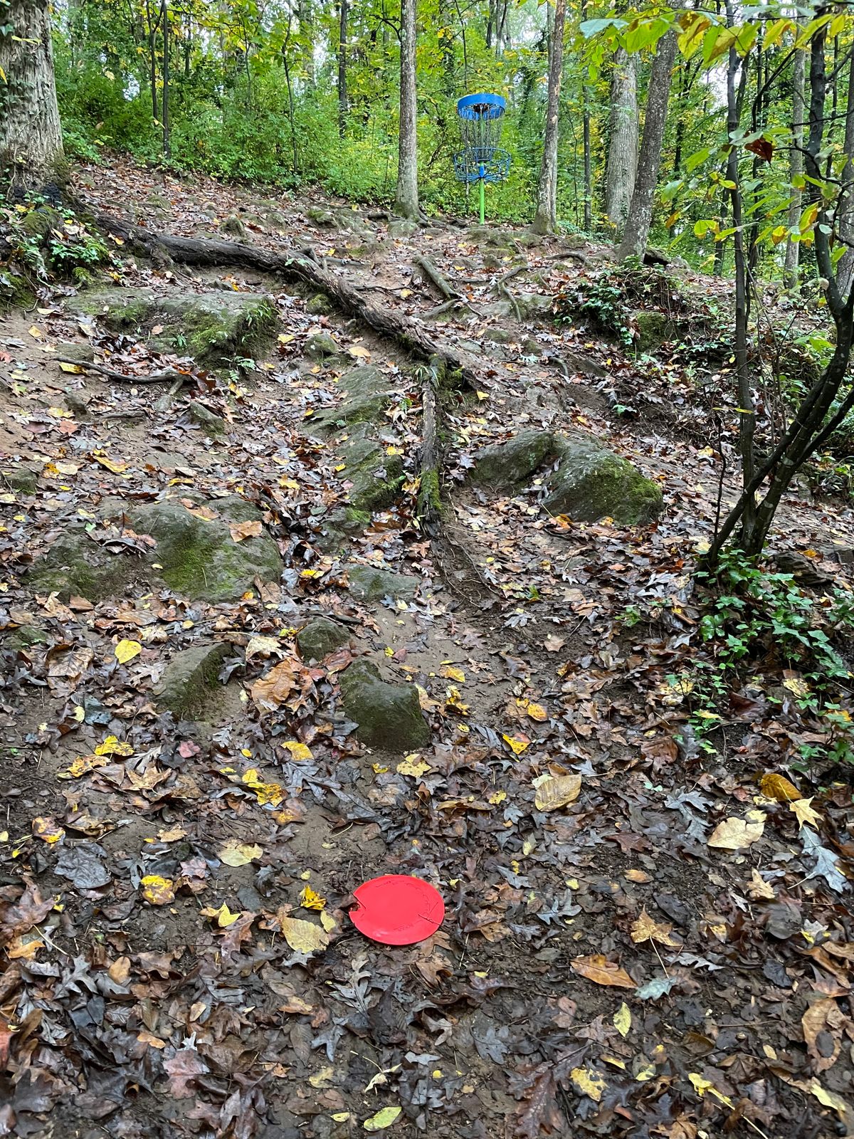 #8 - over the creek and up the hill.
