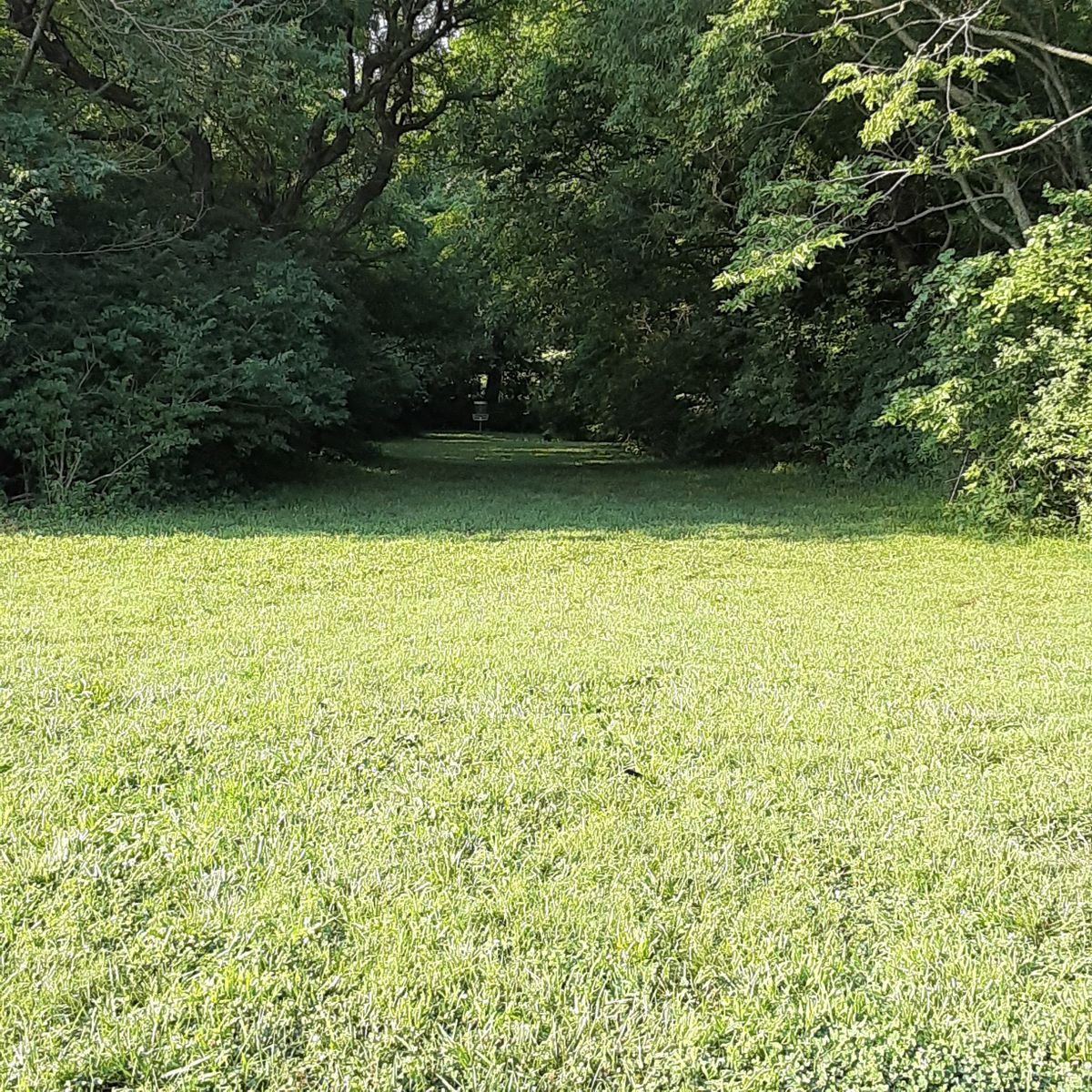 Hole 2