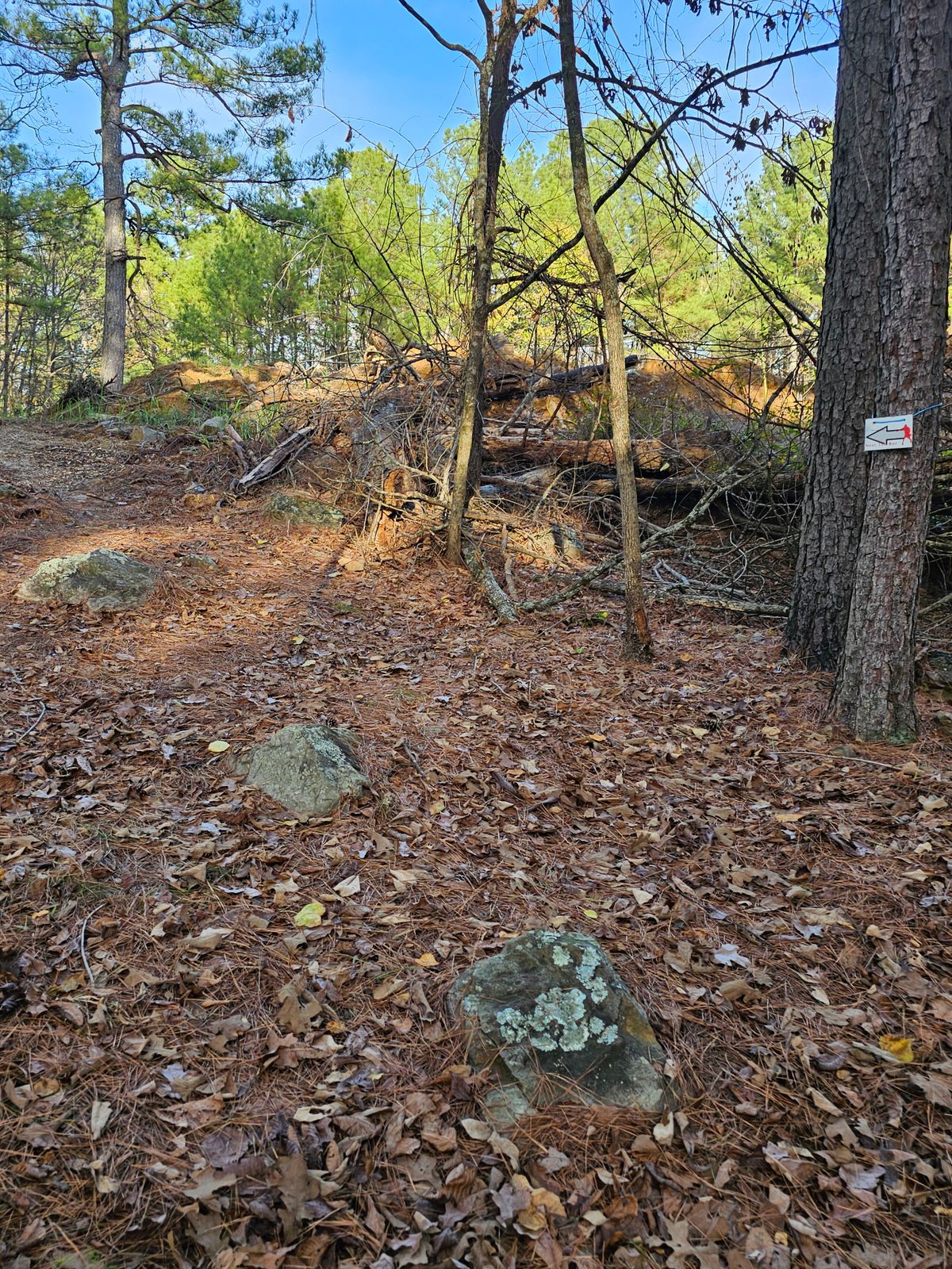 To hole 13