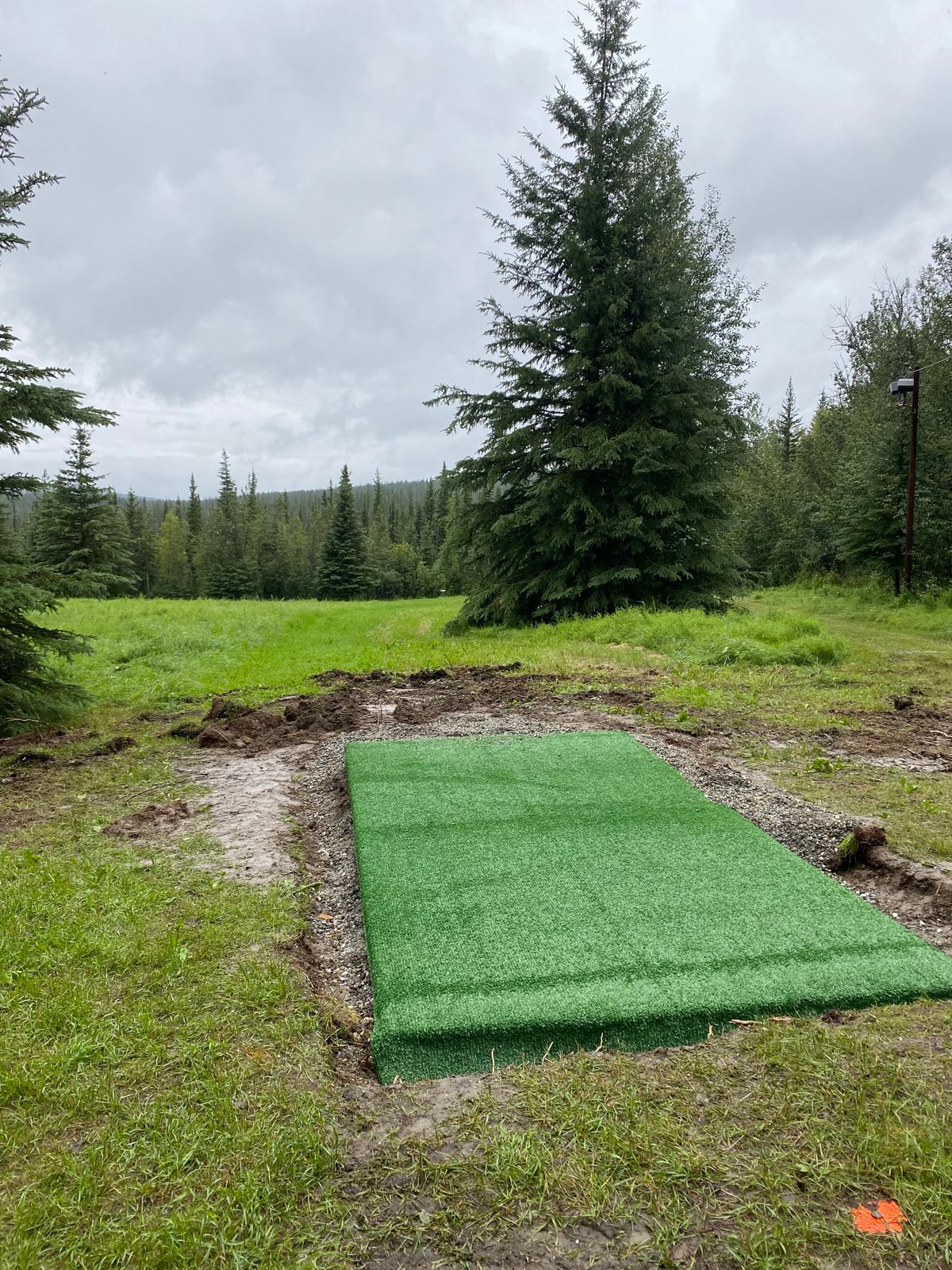Hole 6, basket down to the right at edge of tree line