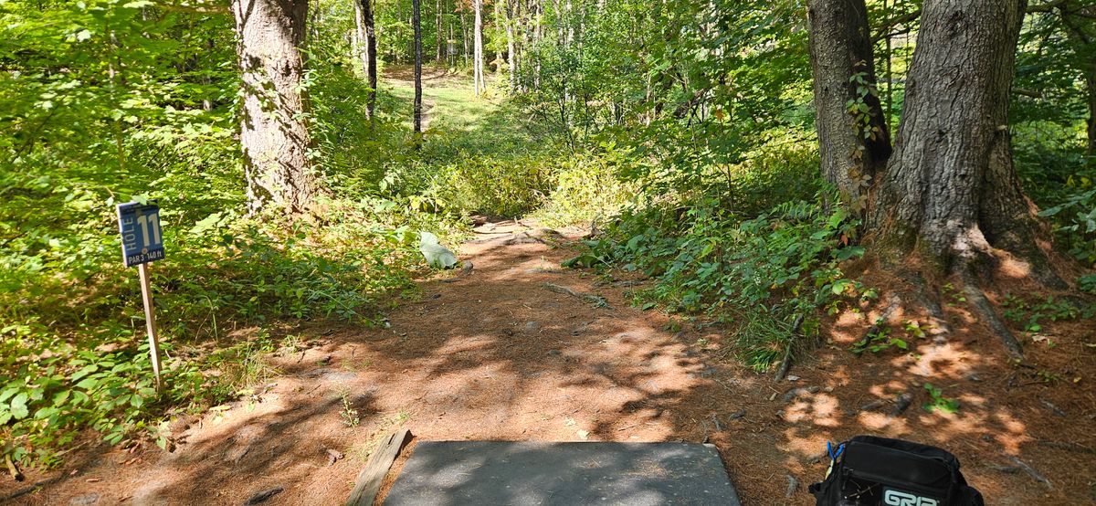 Hole 11