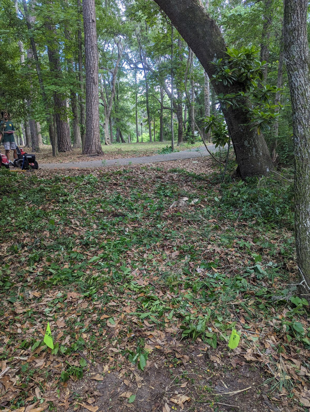 Hole 5