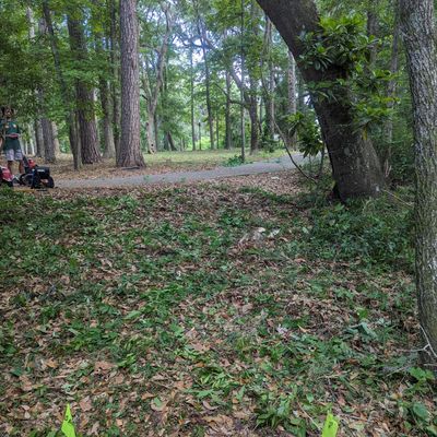 Hole 5