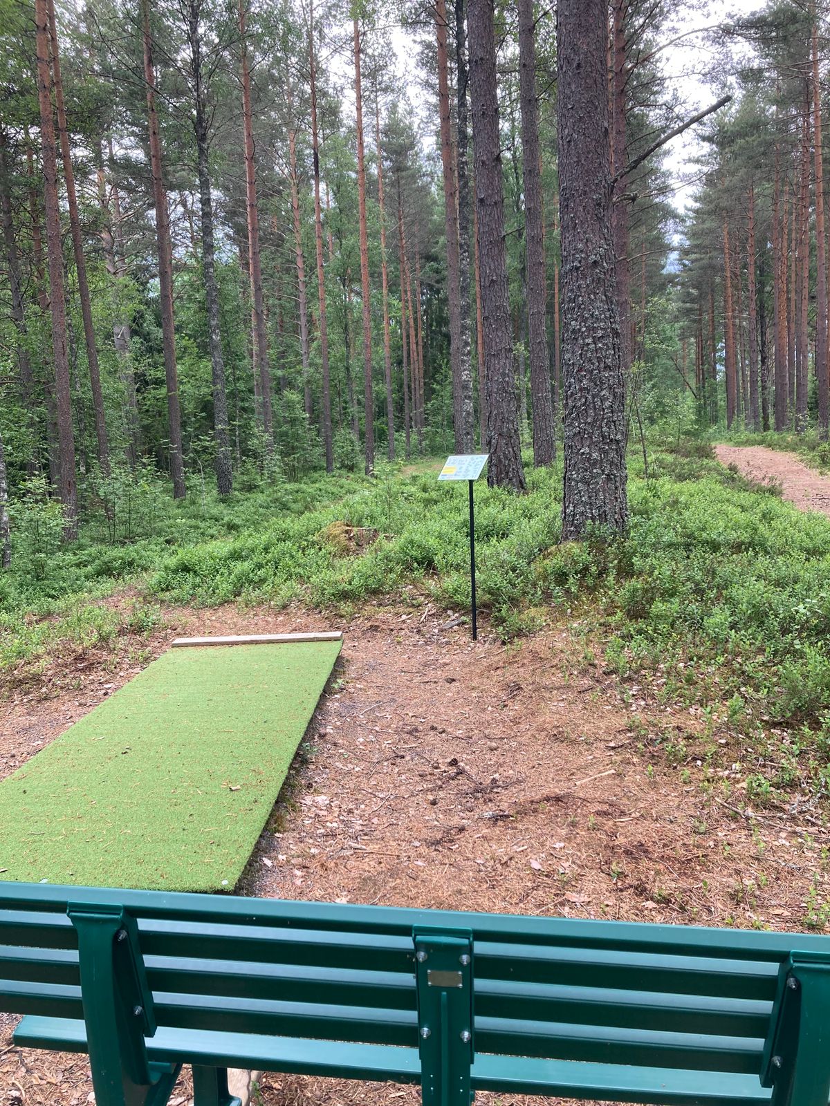 Tee hål 12