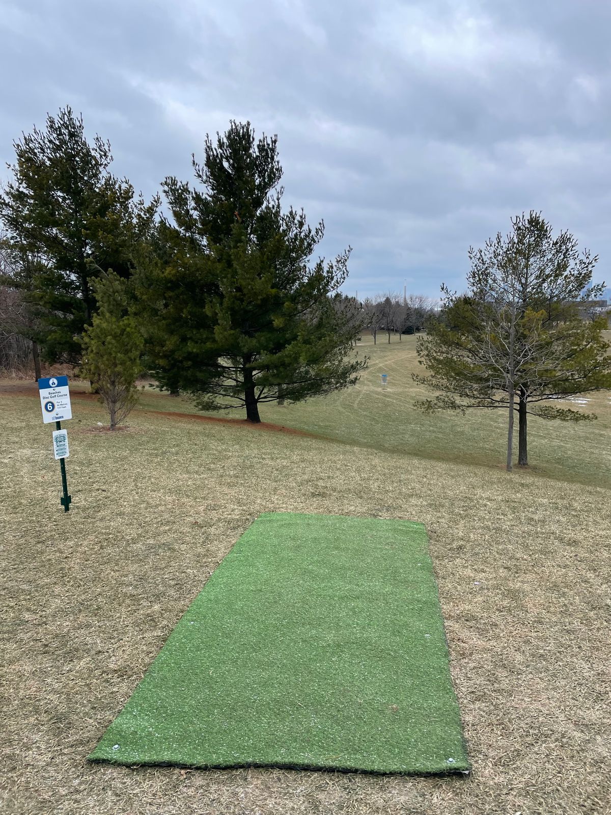 Tee looking down to the basket on Hole 6.