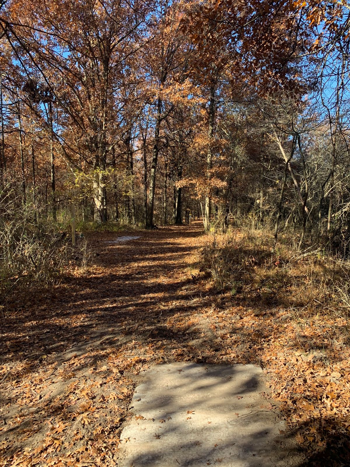 Hole 17 - Pro Tee