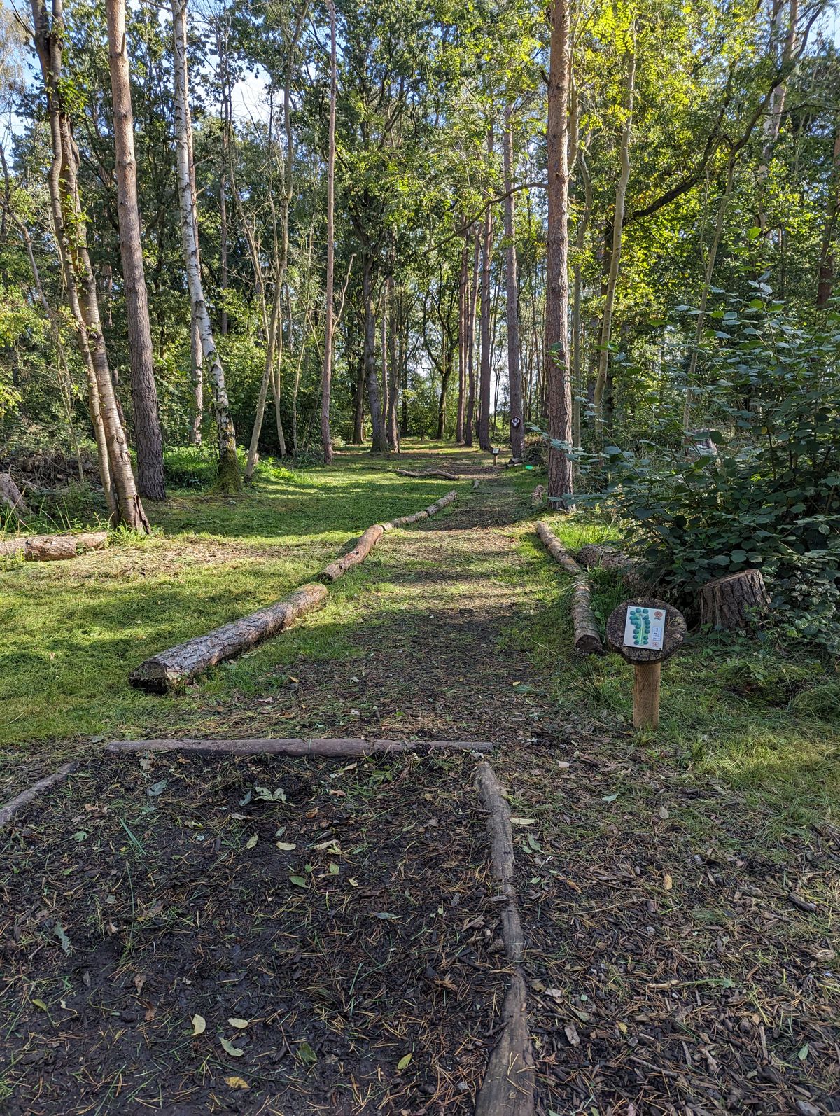 Hole 1 on the White Course at Gilly's Disc Golf