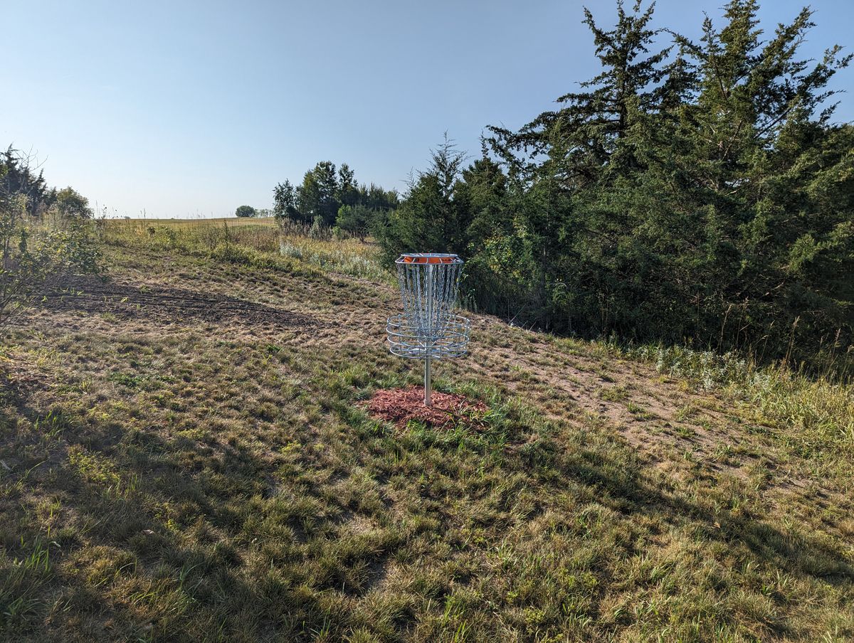 Short Basket