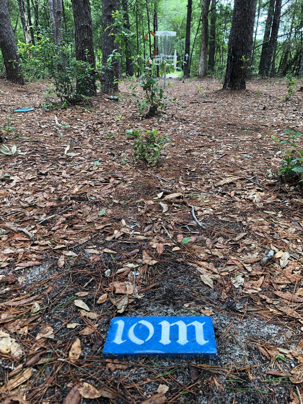 All holes have nice 10m distance marker