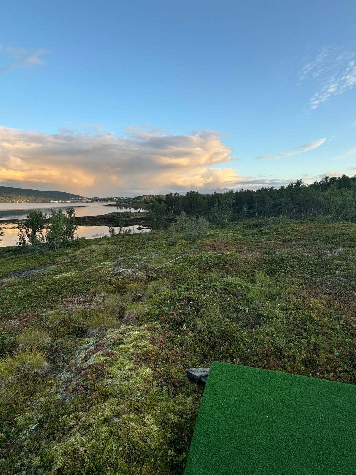 Tee til kurv 18