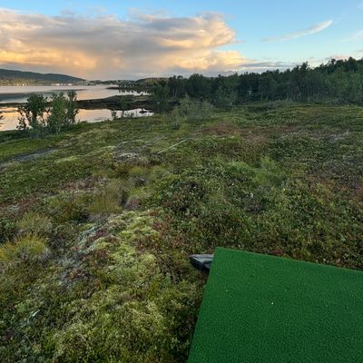 Tee til kurv 18