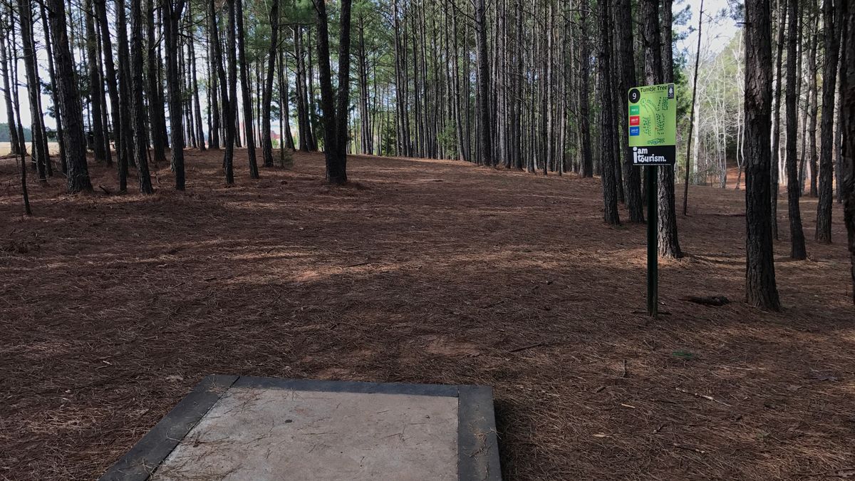 Hole 9