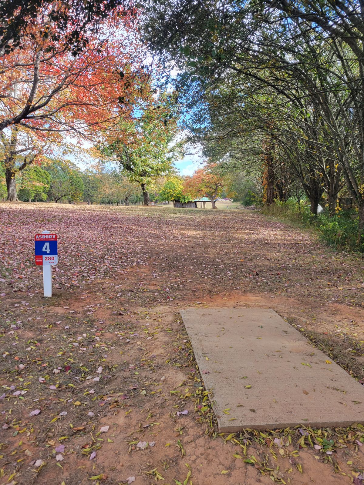 Hole 4 tee