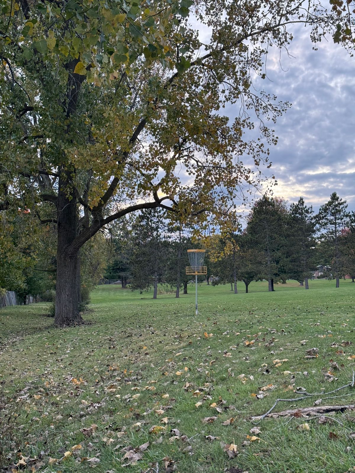 18 Green/Putting Area