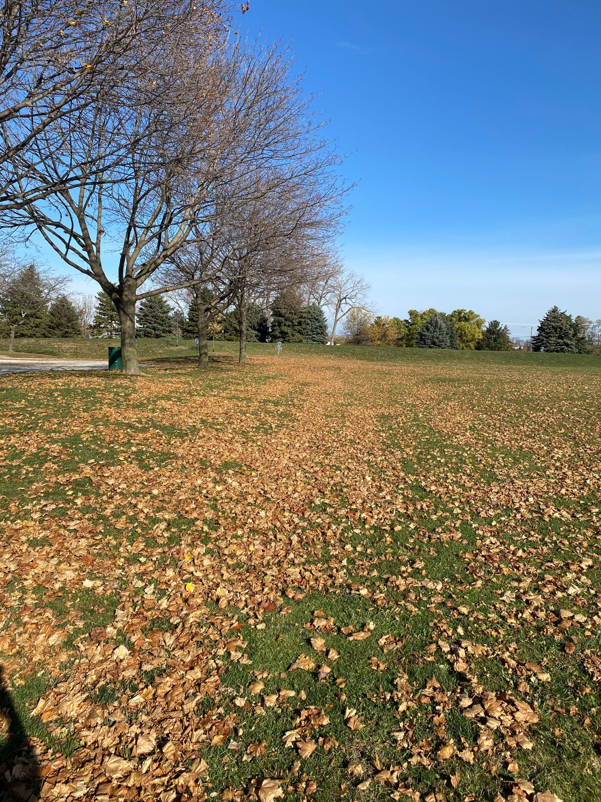 #9 short tee