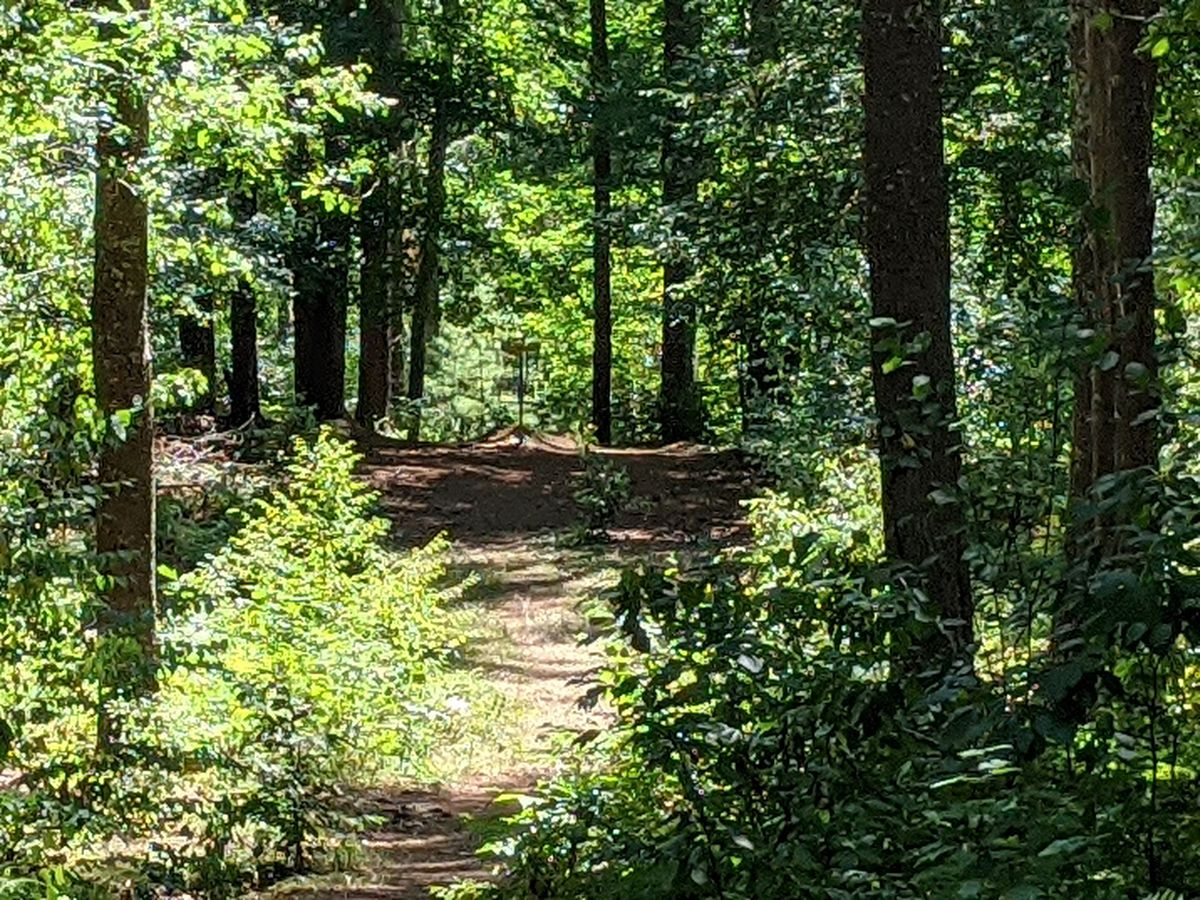 Hole 11