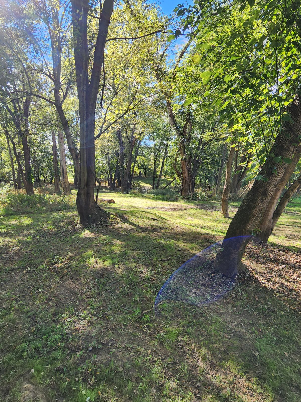 No. 14 fairway