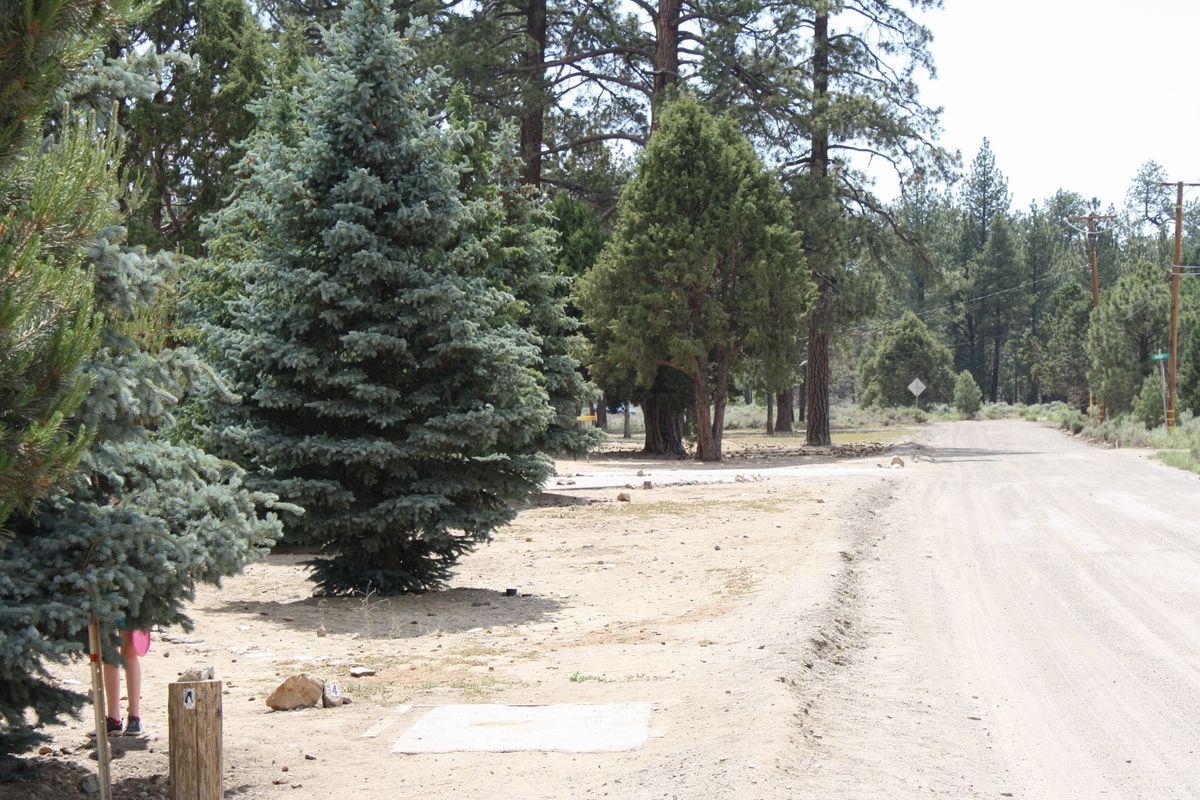 Hole 4
