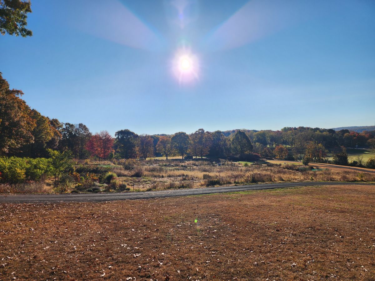 View from hole 17, 10-20-2024