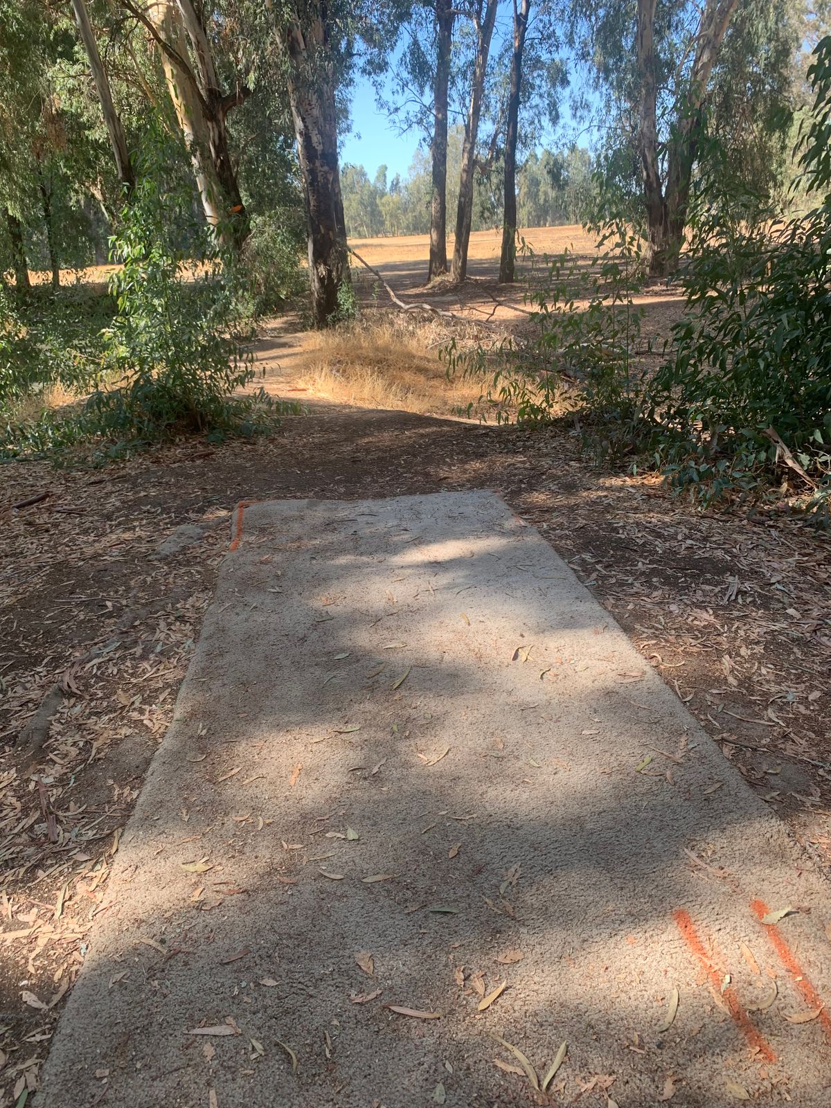 Hole #11
