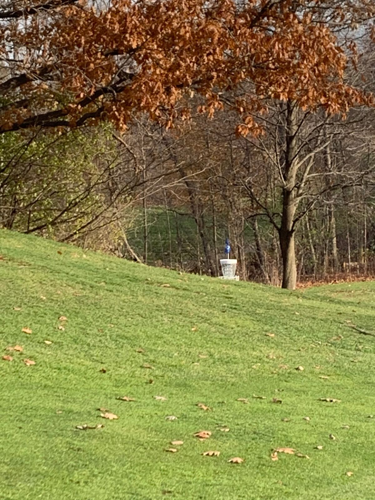 Hole 8 basket