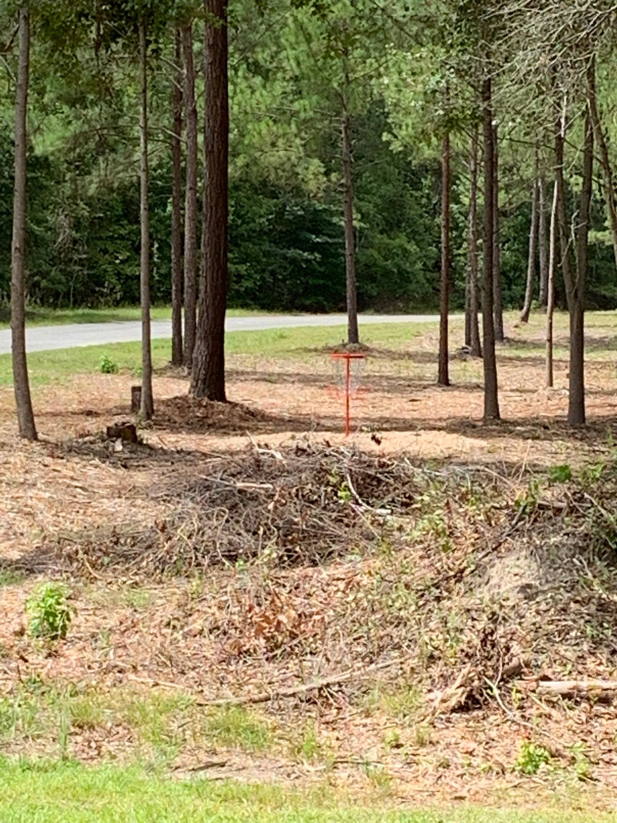 Red basket from tee 1