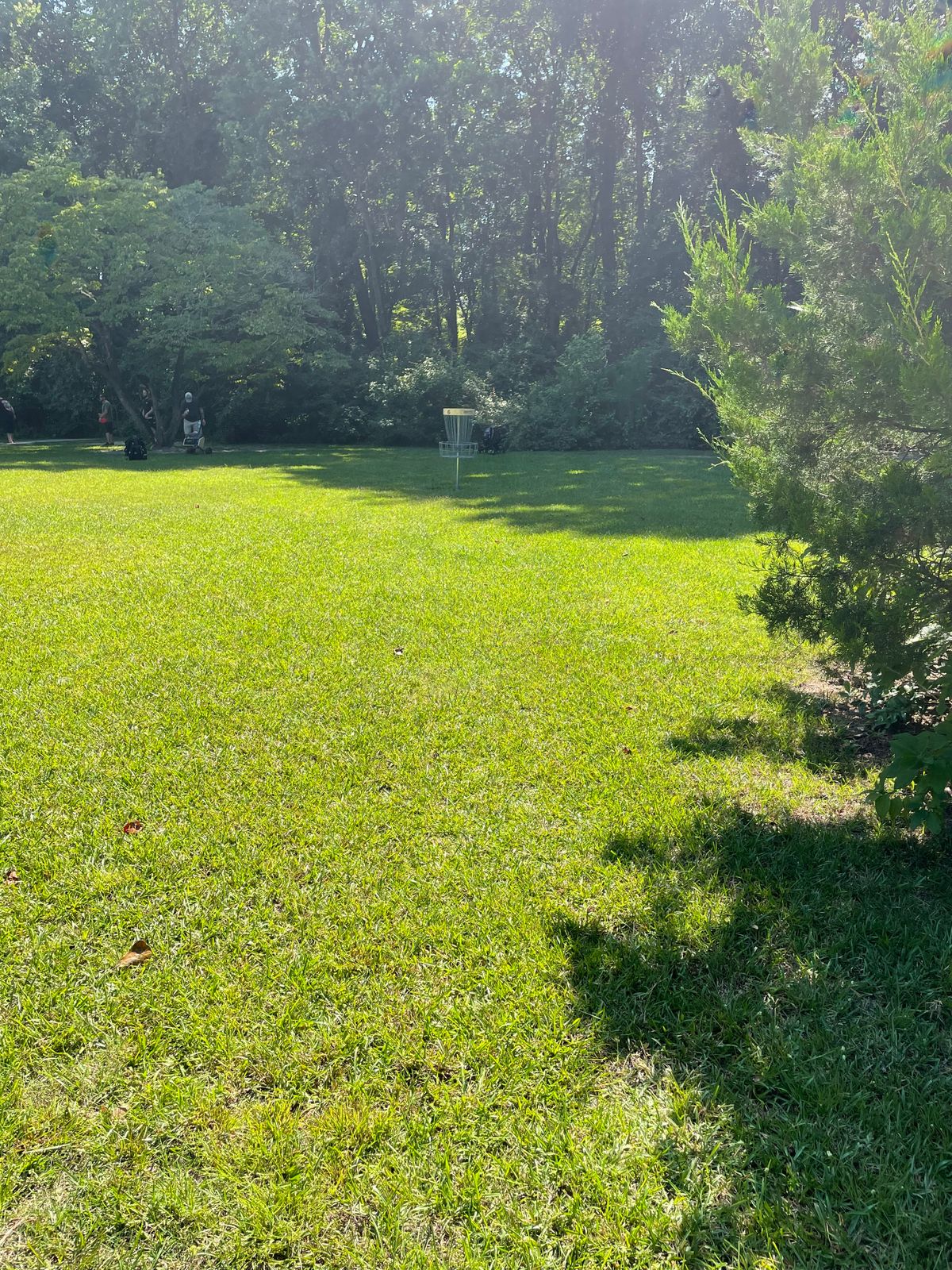 Hole #9 Approach To The Basket
