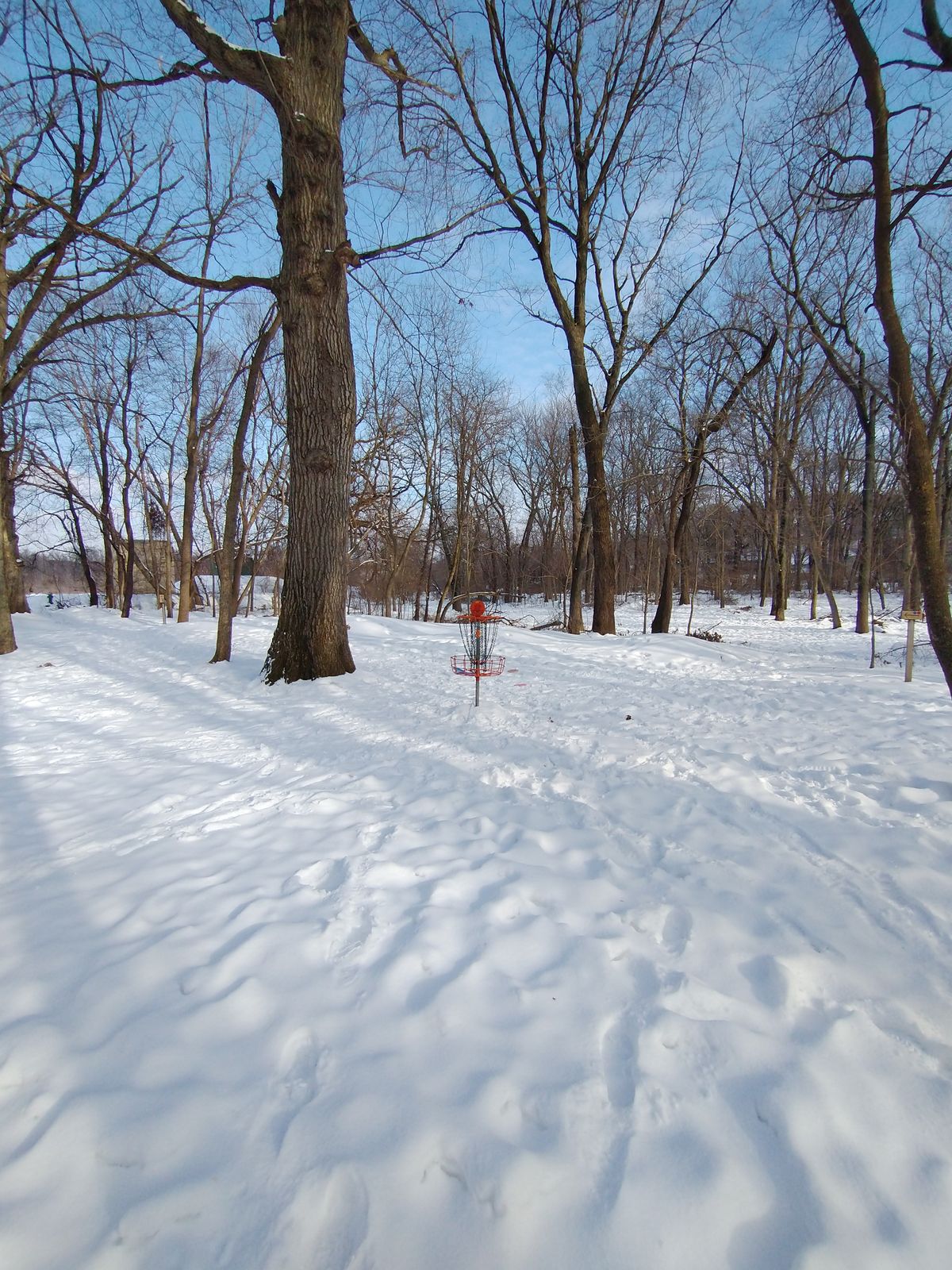 Hole 9 short basket