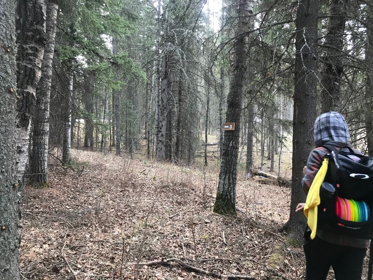 Hole 3: look for the direction sign near the hole 2 basket
