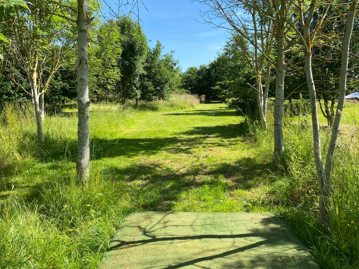 Hole 5