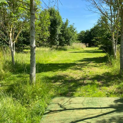 Hole 5