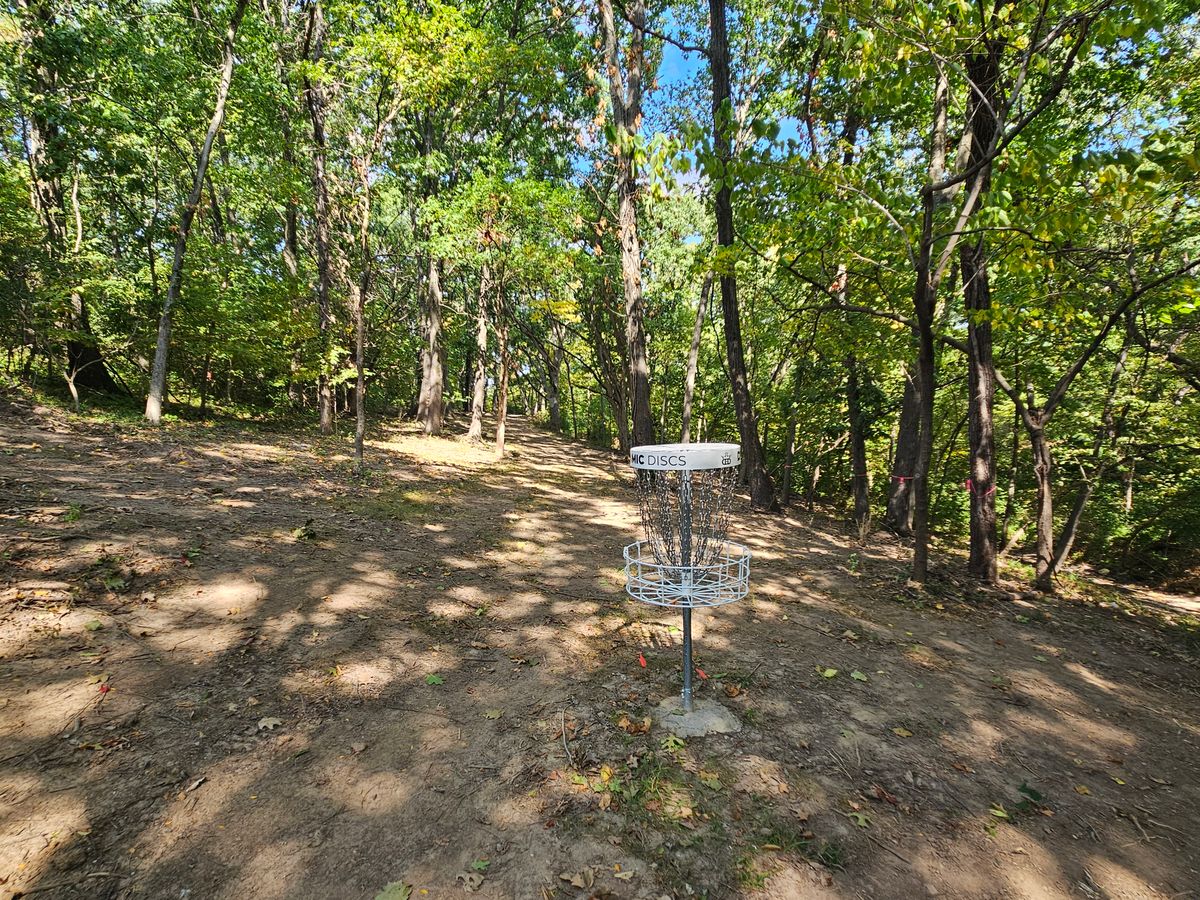 12 green