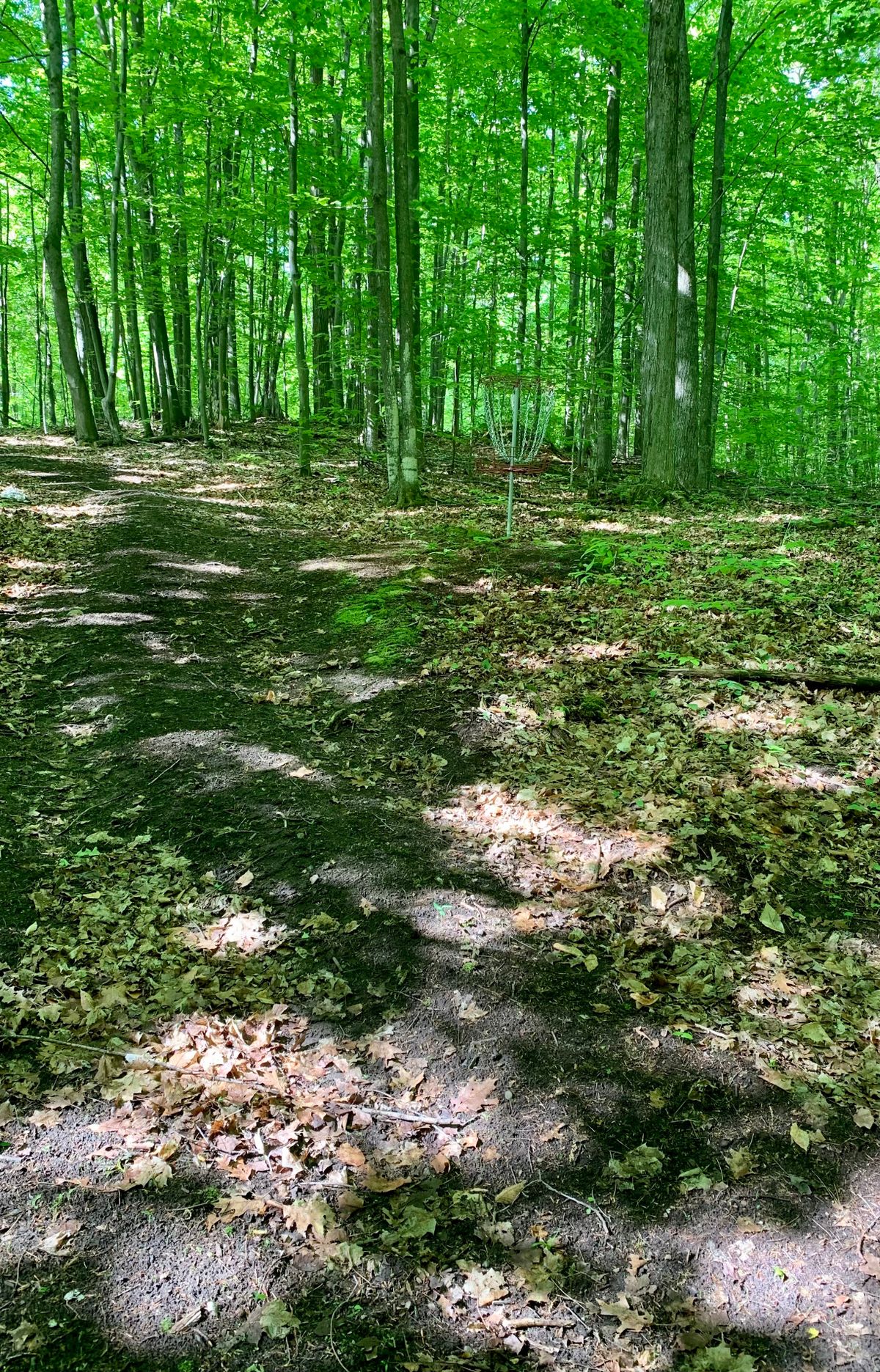 Hole 4