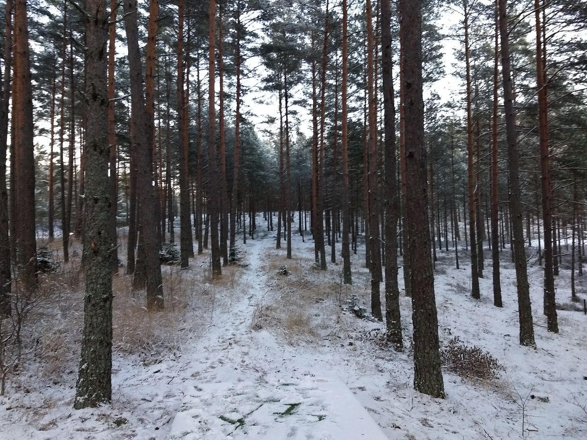 Hål 16